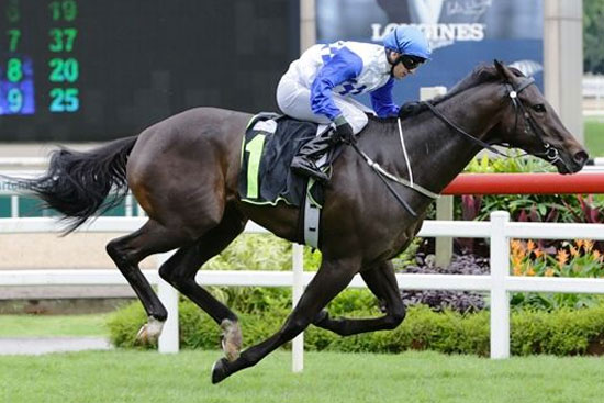 Elite Invincible shows turf is no chink to his armour